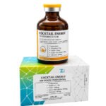 COCKTAIL ENERGY 50ML - JPG SKIN